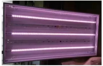 Common Misconceptions and Design Tips for LED Grow Lights