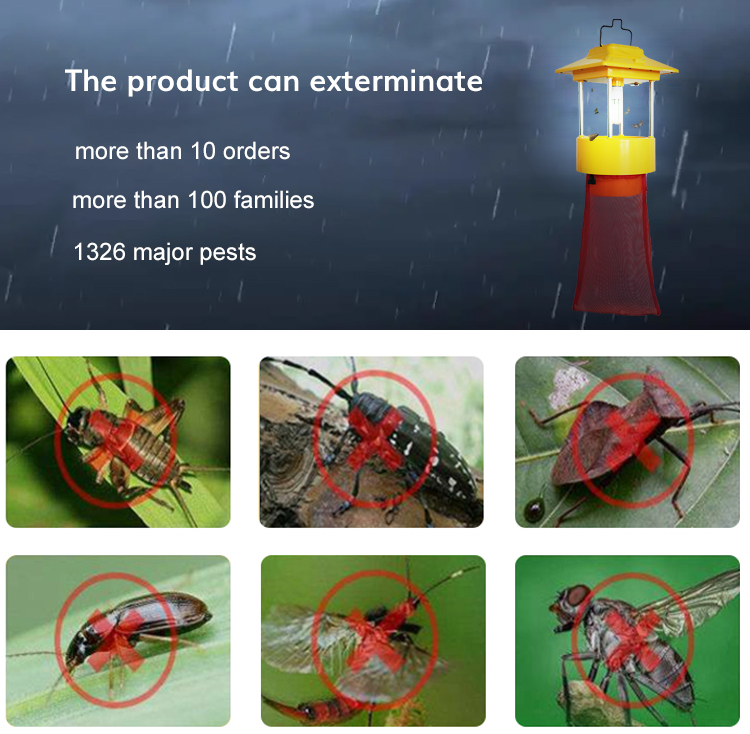 What Changes has VANQ Brought to  Insecticidal Lamps?