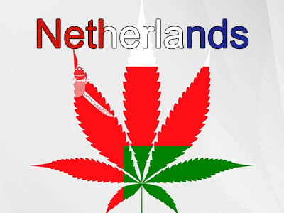 Why the Netherlands allows home cultivation of marijuana