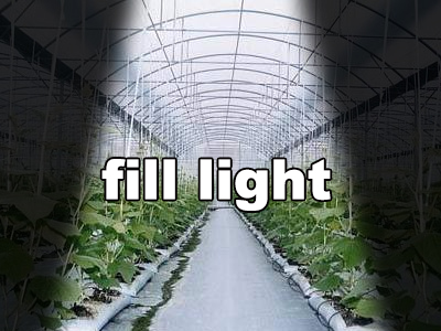 Why do we supplement the light for greenhouse