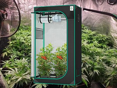 The best led light for 4x4 grow tent