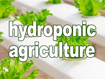 How can hydroponic farming reduce water consumption by 90%