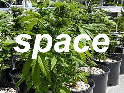 How much space does cannabis cultivation require?