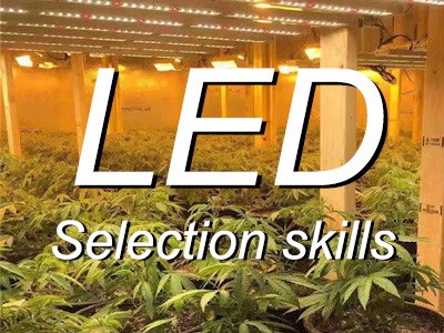 Selecting the Optimal Cannabis Grow Light: 6 Essential Tips