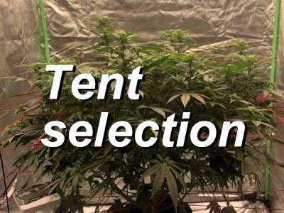 How to Choose the Right Indoor Grow Tent for weed