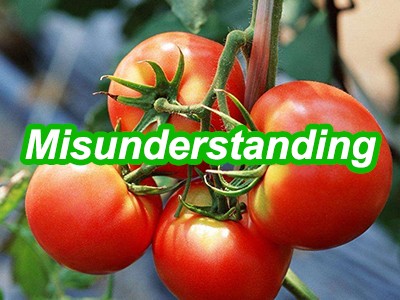 Have you also made these mistakes in tomato planting