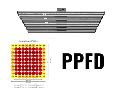 Why should we pay more attention to PPFD instead of LUX when testing plant lights