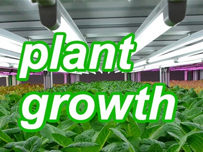 do grow lights make plants grow faster?