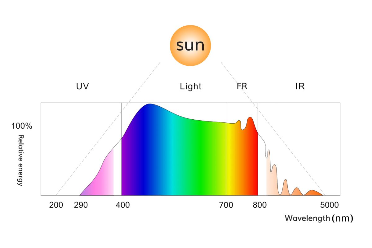 What are FR and UV and what effects do they have on plants