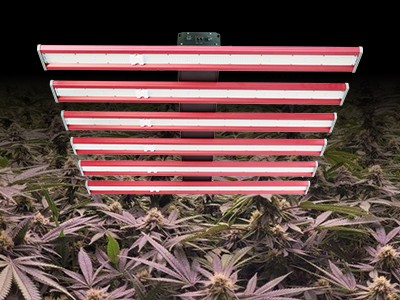 Indoor grow lights: how to let your plant enjoy the vintage distance for sunshine