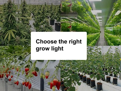 How to Choose the Right Grow Light for Your Plants