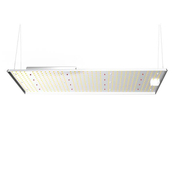 200W Grow Light panel