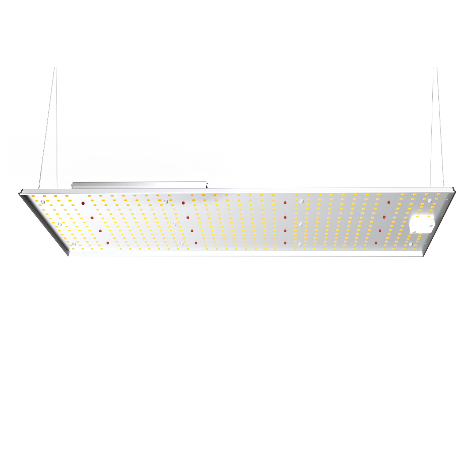 200W Grow Light panel