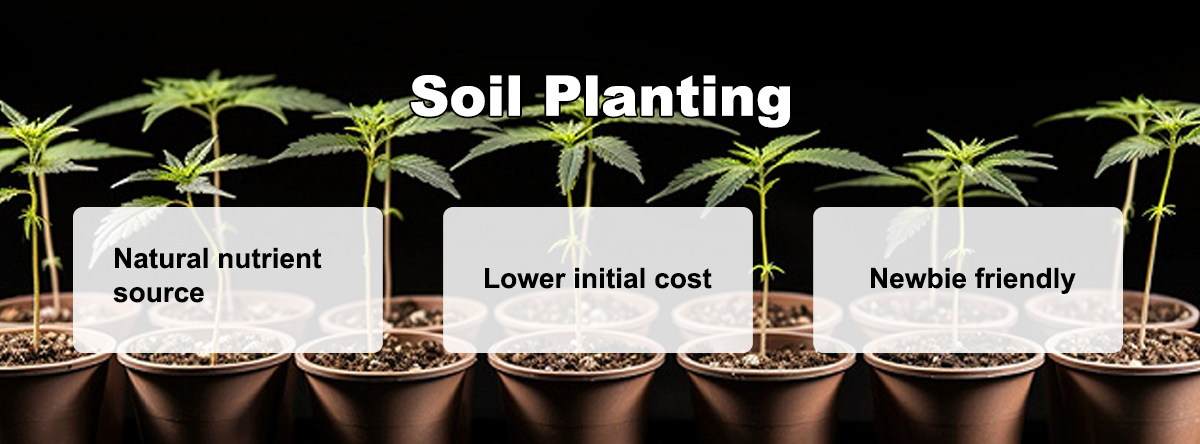 Soil planting