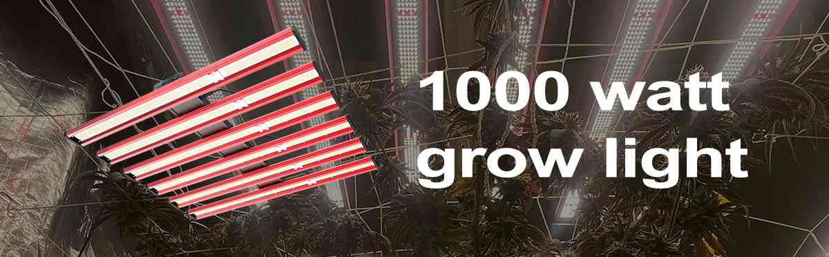 1000 watt grow light 