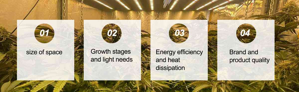 best cannabis grow led lights