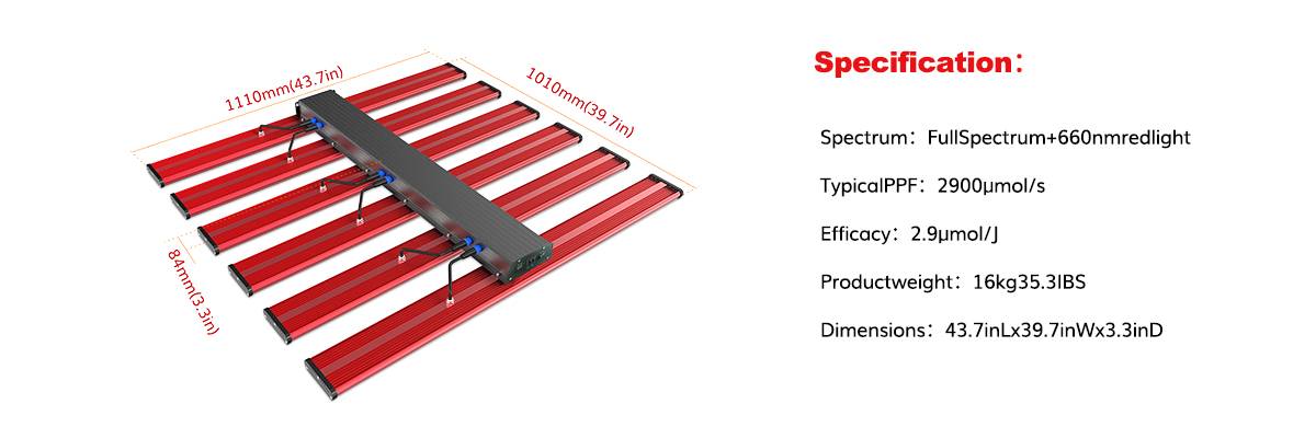 1000 watt grow light