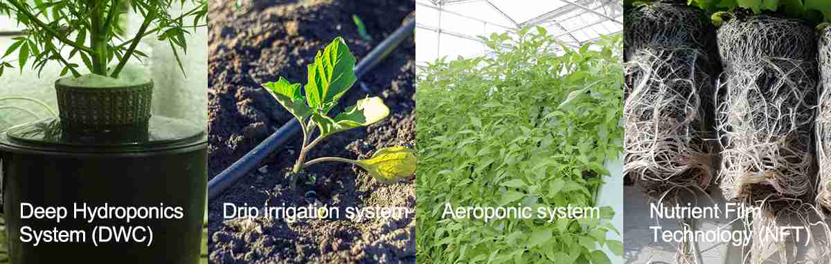 Types of Hydroponic Systems