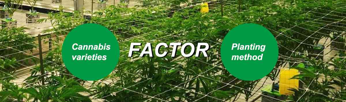  Factors affecting planting space