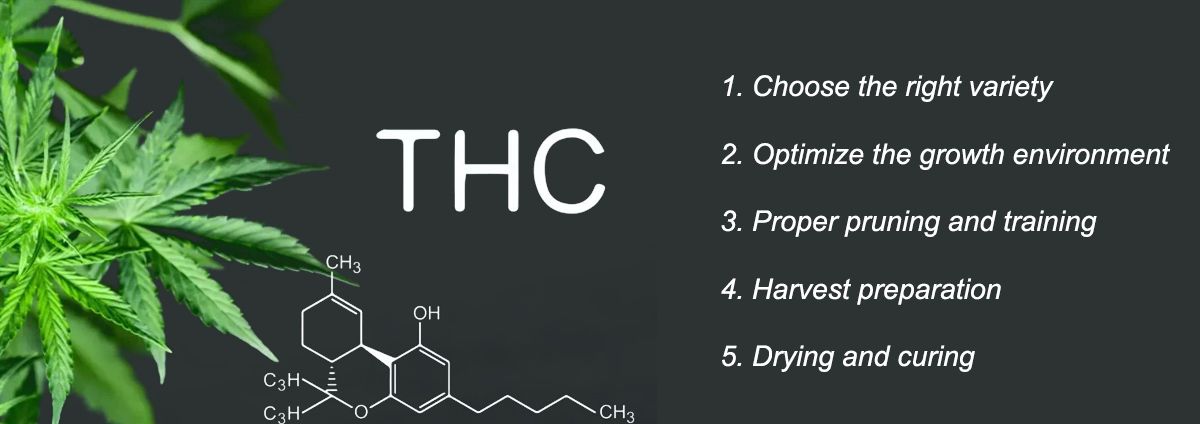 THC 