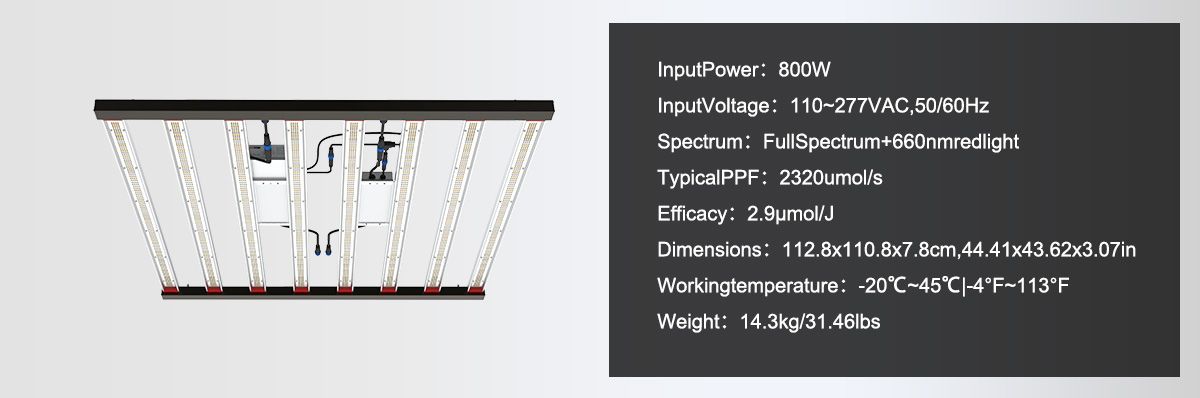 800W Cannabis Grow Light  