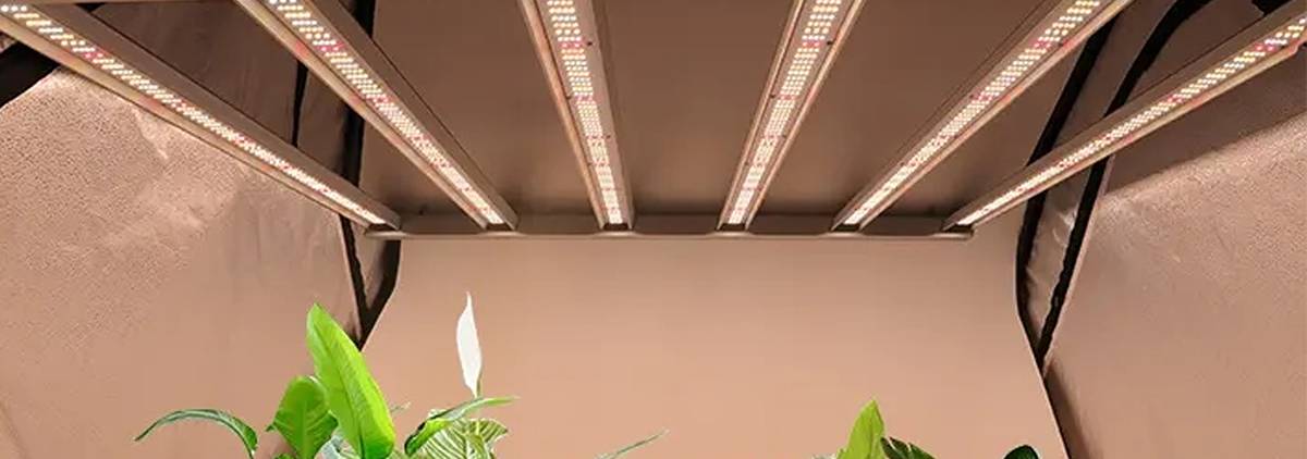 The role of indoor plant grow light