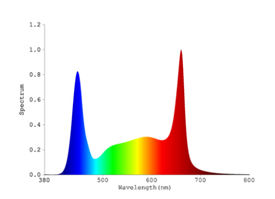 LED light spectrum