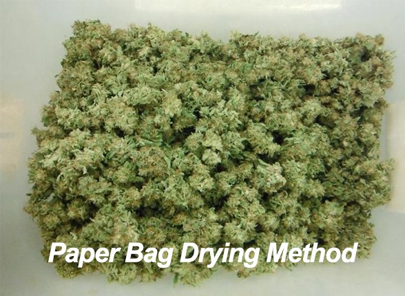 Method 2: Paper Bag Dry Method (Space-Saving and Light-Avoiding)