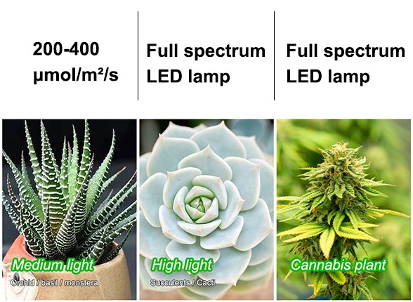 植物的需求.jpg