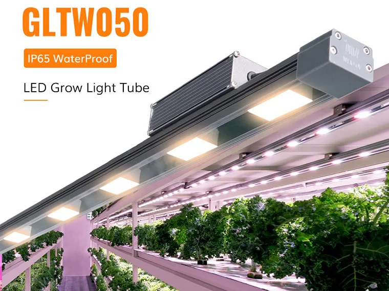 Advanced LED Technology