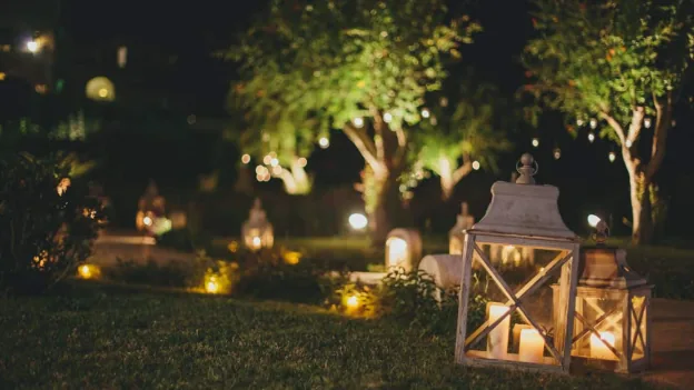 Led Plant Light Needed For Gardening