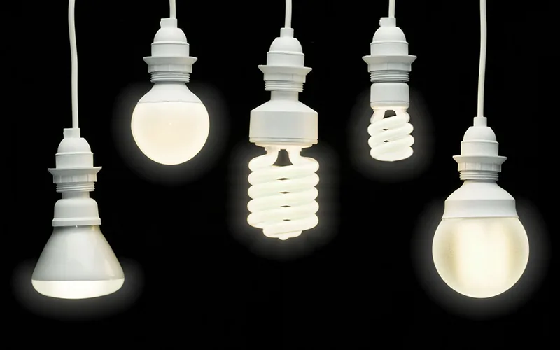 The Benefits of LED Plant Lighting