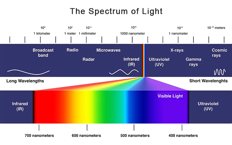 How to Choose the Best Full Spectrum LED Grow Light for Crops?