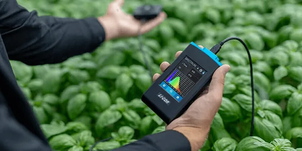 How to Measure Horticultural Lighting Levels: PAR, PPF, PPFD, and DLI