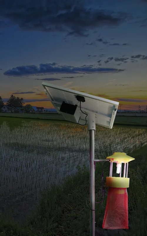 Insecticidal Lamps