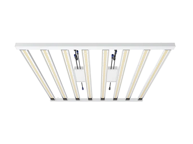 Supports Detachable Design 800W Cannabis Grow Light