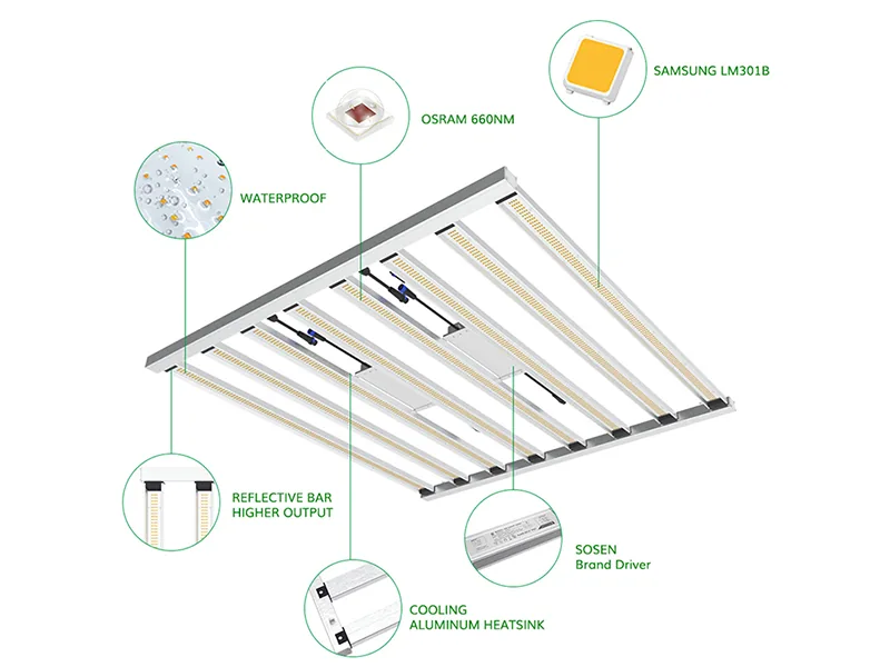 Supports Detachable Design 800W Cannabis Grow Light