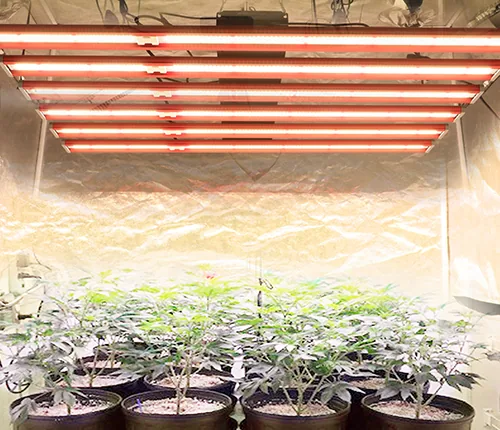 Vertical farming