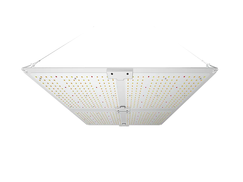 400W Cannabis Grow Samsung LED