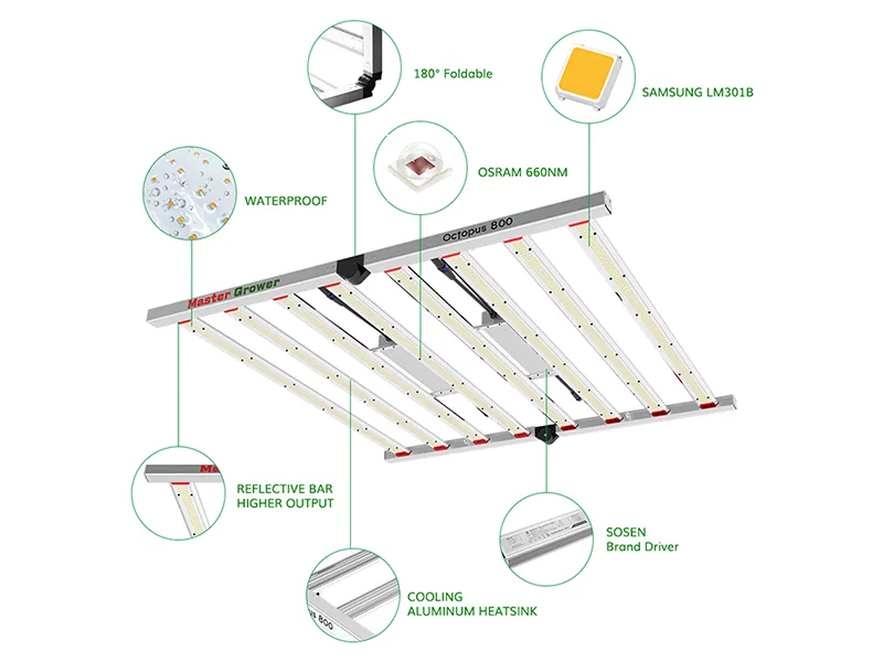 Supports Foldable Design 800W Cannabis Grow Light