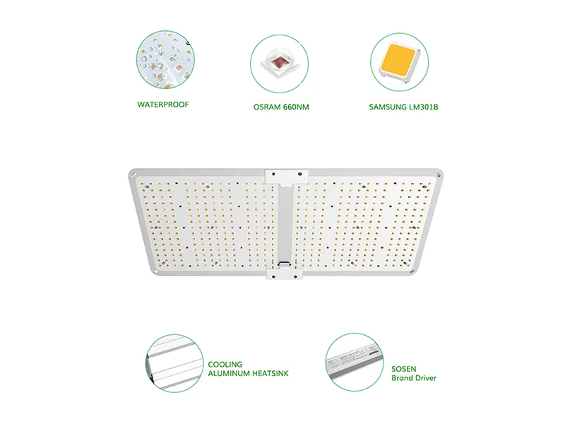 200W Cannabis Seedling Light Designed for Grow Tent Cultivation