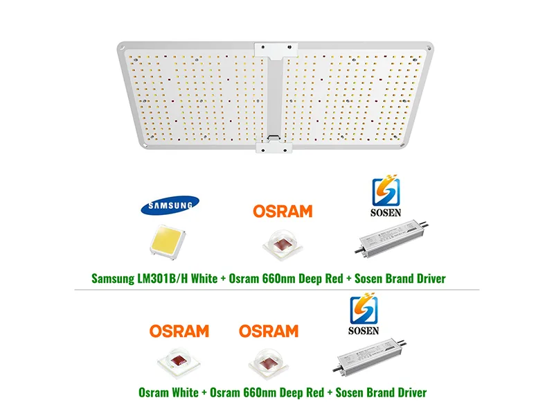 200W Cannabis Seedling Light Designed for Grow Tent Cultivation