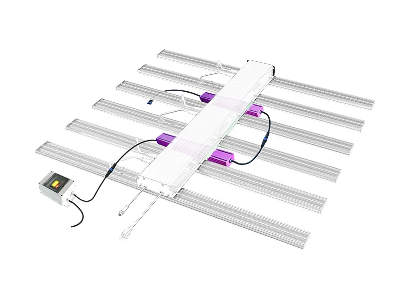 First Choice of Flowering Light for Efficient Supplementary Light
