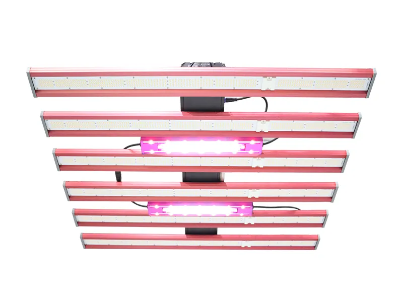 First Choice of Flowering Light for Efficient Supplementary Light