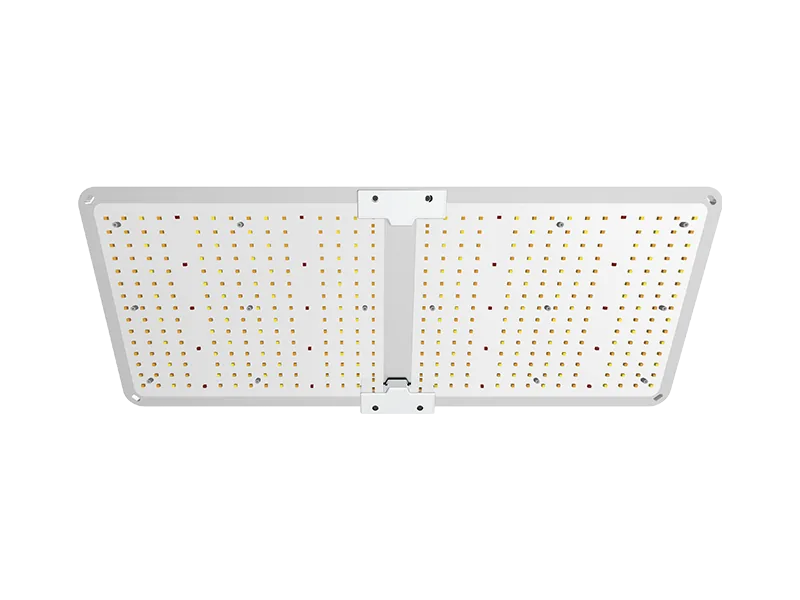 200W Cannabis Seedling Light Designed for Grow Tent Cultivation