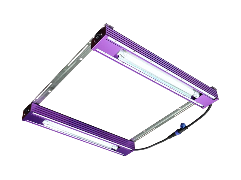 First Choice of Flowering Light for Efficient Supplementary Light