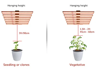 What is the optimal distance between your grow light and plants?