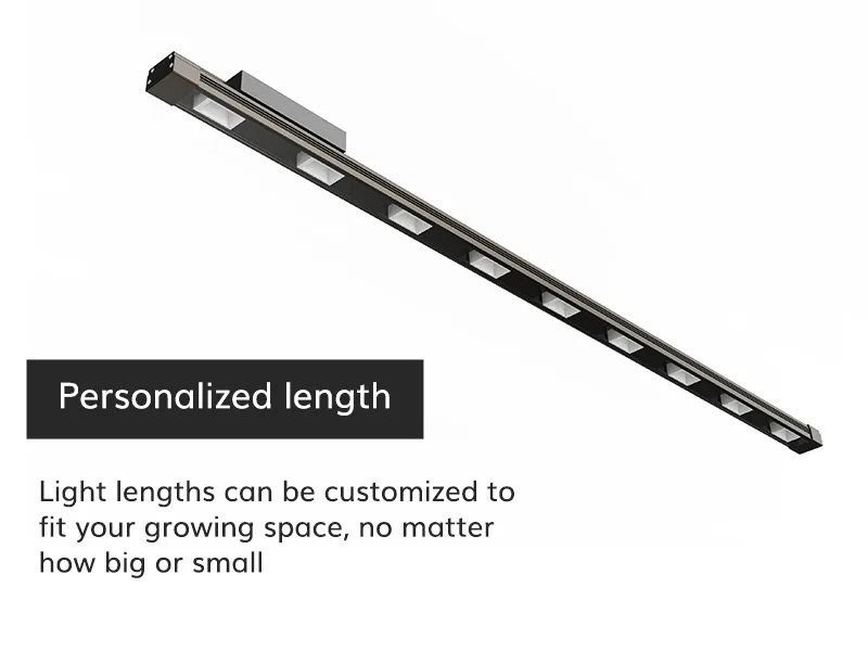 50W seedling grow light professional optical design