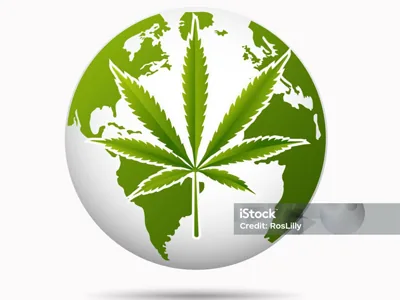 Cannabis’ world map: How did it become a hot topic everywhere?