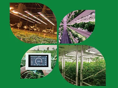 How grow lights can double yields in multi-story vertical farming